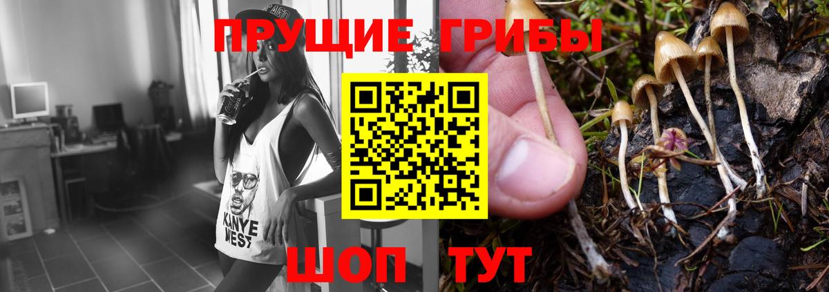 Галлюциногенные грибы Psilocybine cubensis  магазин  наркотиков  Ейск  Вход с VPN 