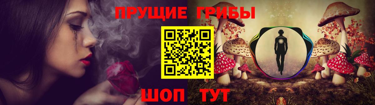Галлюциногенные грибы Cubensis Ейск